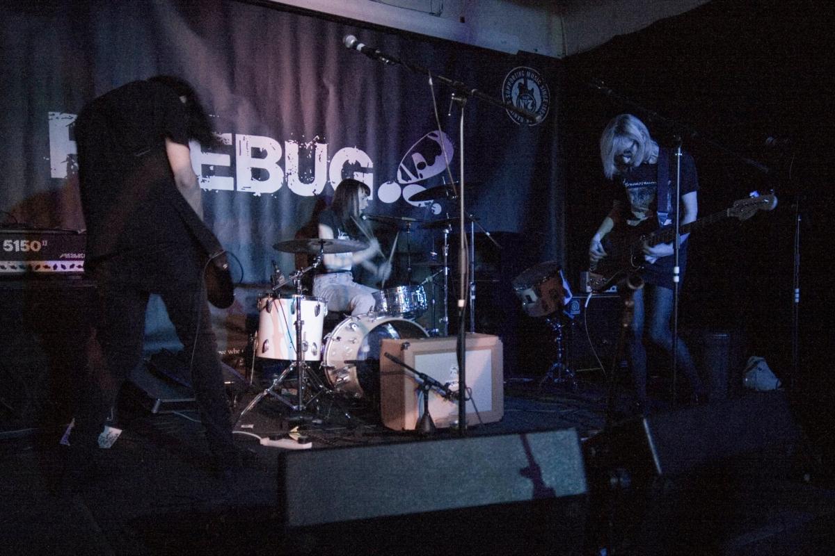 Fever Dream @ Leicester Indiepop Alldayer, Firebug, 21st March 2015