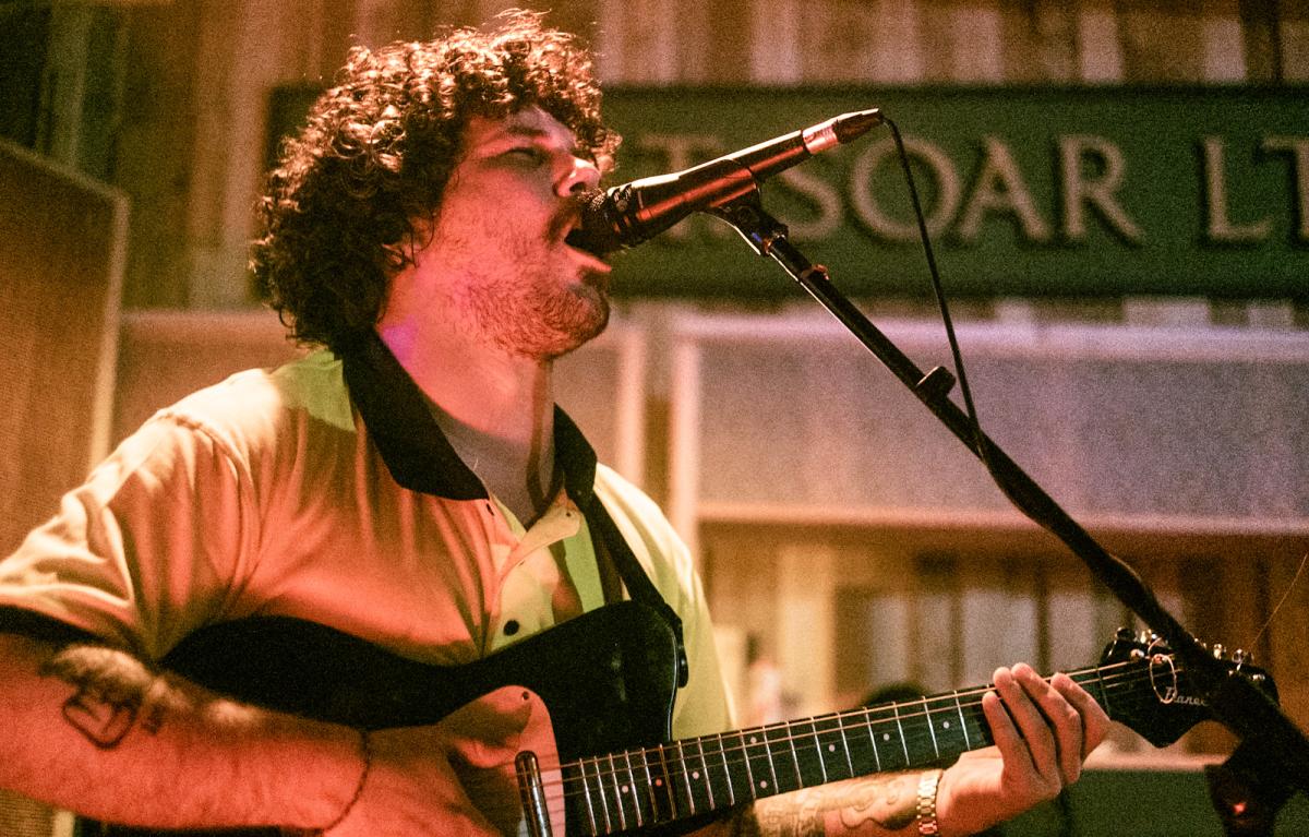 Sunflowers @ JT Soar, 16th February 2026